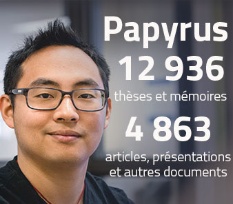 Papyrus : 12 936 thèses et mémoires et 4 863 articles, présentationse et autres documents