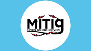 Logo de MITIG